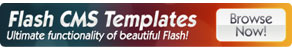 Premium Web Templates