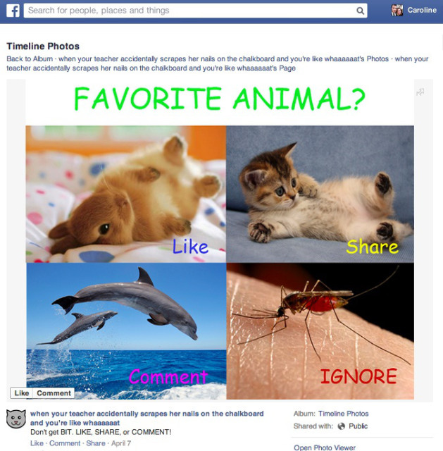 facebook-spam-629x640