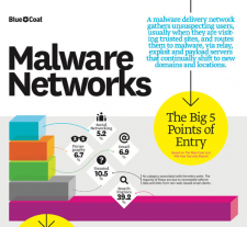 MALWARE-SS-225x207