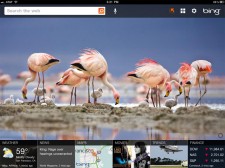 Bing-for-iPad-1-225x168