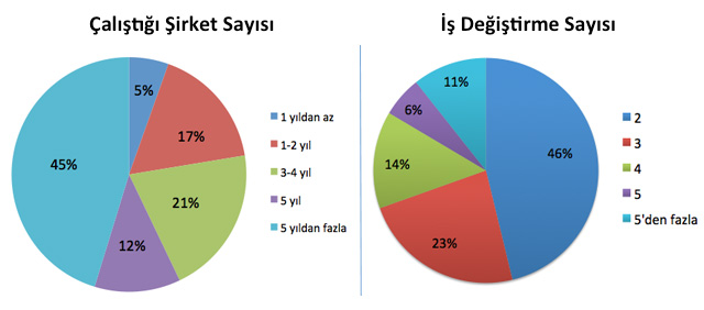 calistigi-is-degistirme-sayisi