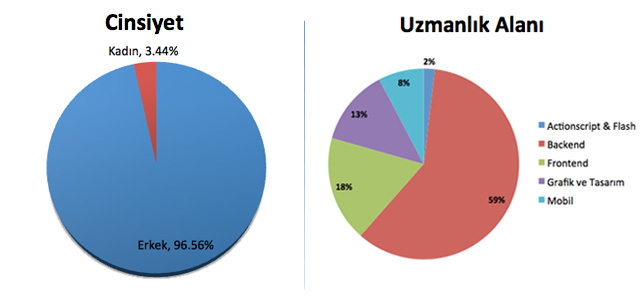 it-cinsiyet-uzmanlik-alani