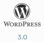 wordpress301